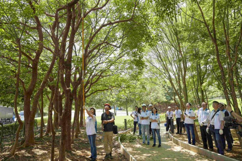 藝師教導大家認識樹木、檢查樹的健康狀況，學習修枝及碎枝覆土
